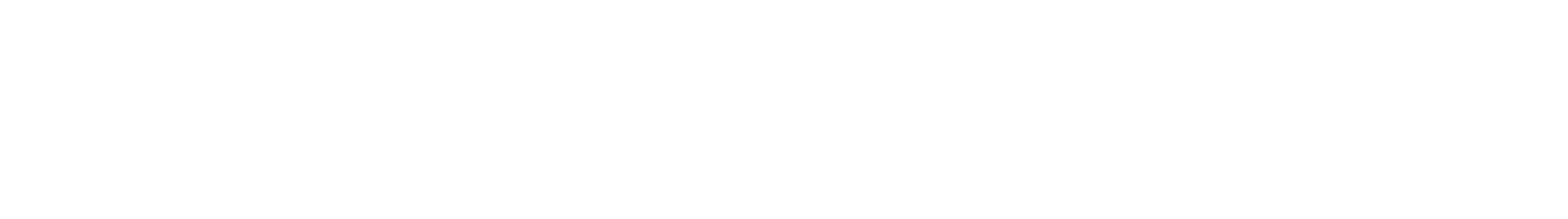 21prgram